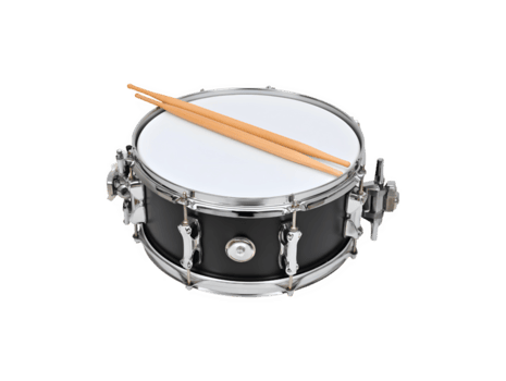 Snare
